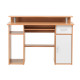 Albany Computer Office Desk